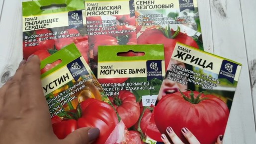 ��� �������� ������: �������� ���������� ����������� ���������