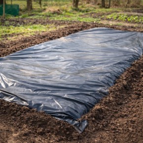 ��� ������ �������� ����� ����� �������� ��������: ����������� ������