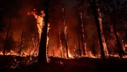 ���������� � ���� ����� ������� �� ���������� ����� � ���