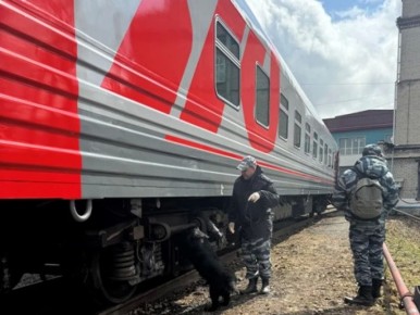 �������� ��������������� ������������ ������� ���������� ������ ����������� ����������� �������