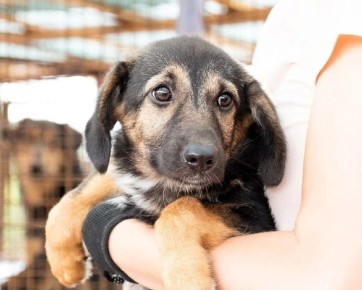 ���������� ���������� �� ���� �������� ������ � ����� ������� ���