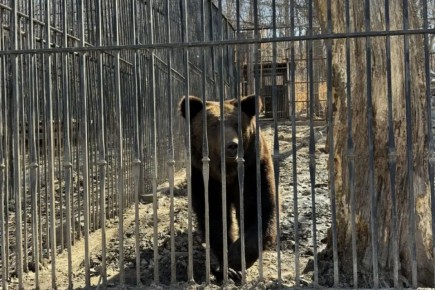 ��������� ��� �������, ��� ������ ����� ��������� � ������ ���� ������