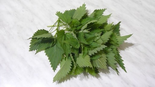 ������� � ��������: ����� ������� ��������� ����