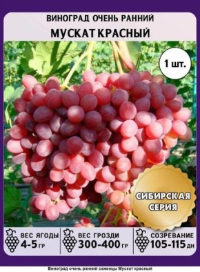 �������� ������ �������: ������ ���� � ���������� ���� � ����� ������