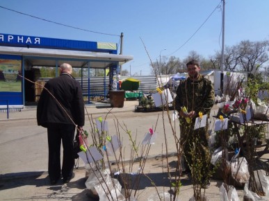 ����� �������� ������ ��� ������������ ����: �������� ������ � ������