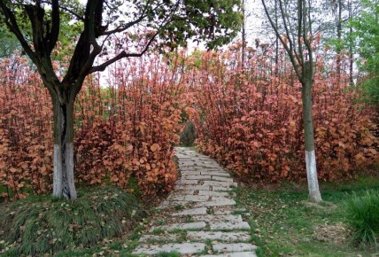 ��� ����������� �������� ������� � ����: ������ �� �������