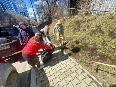 ������������ ������ �������� ������� � �������� ����������