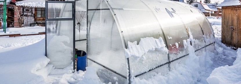 ���������� ������� � ������ ������: ��� �� �����