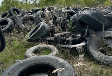 �� ������������� ��� �� ������������ ��������� ������������ ������ �����