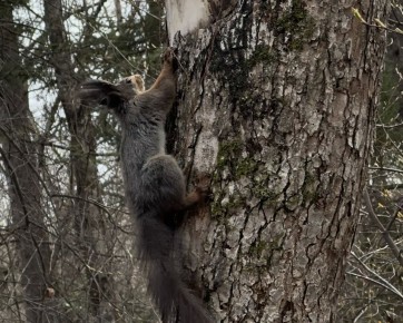 ��������� ���������� � �������� ������������ ����