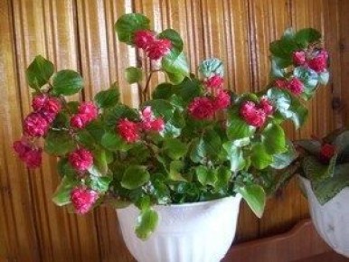 ���������� �������: ������������ ����� � ������� �����