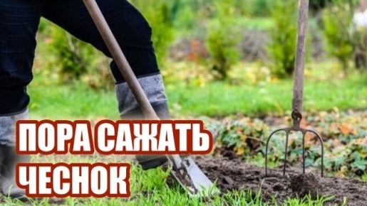 ��� ����������� �������� �������� �������� ������ �������