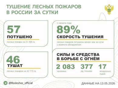 За прошедшие сутки в 18 регионах России потушили 57 лесных пожаров