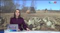 Смотрите в 21:10. Дорога к погранпереходу на Большом Уссурийском готова почти на 50 процентов