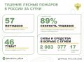 За прошедшие сутки в 18 регионах России потушили 57 лесных пожаров