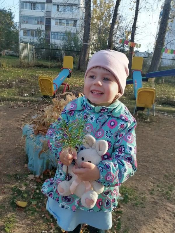 Дмитрий Демешин: Два детских сада в Некрасовке и Советской Гавани получат первые гранты по 500 тысяч рублей на воспитание будущих учёных Дмитрий Демешин: Два детских сада в Некрасовке и Советской Гавани получат первые гранты по 500 тысяч рублей на воспитание будущих учёных