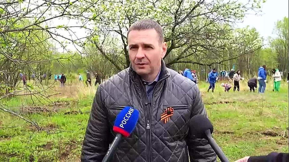 3500 сеянцев корейского кедра высадили участники акции «Сад памяти» вблизи посёлка Корфовского
