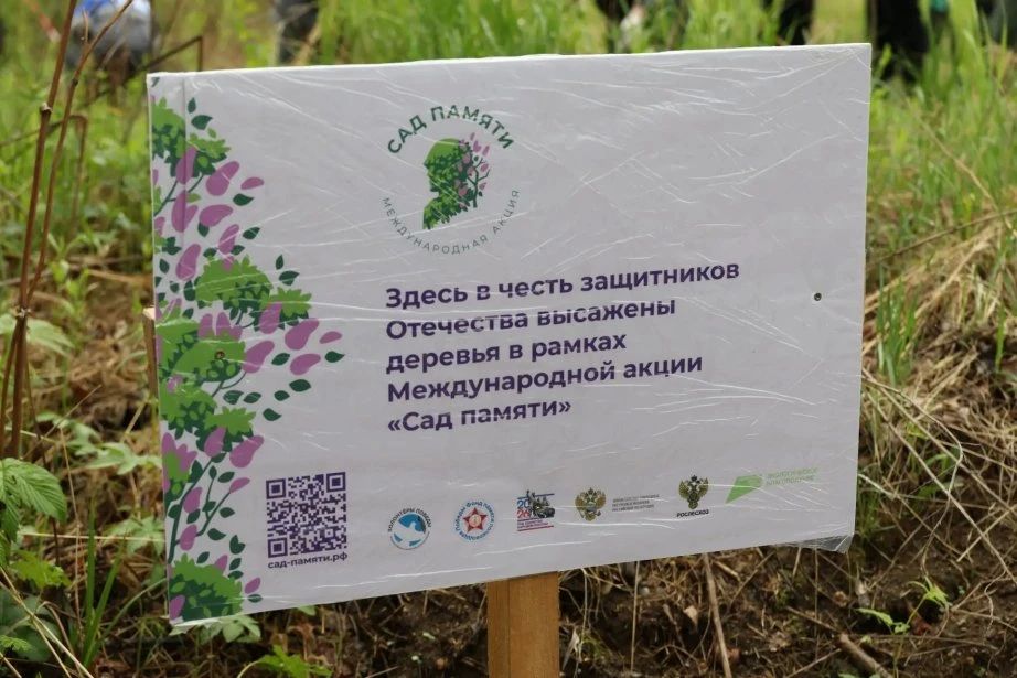 Больше 3 тысяч саженцев кедра корейского высадили участники акции «Сад памяти» в Хабаровском крае Больше 3 тысяч саженцев кедра корейского высадили участники акции «Сад памяти» в Хабаровском крае
