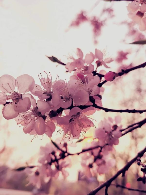 Погода в Хабаровском крае. Хабаровск