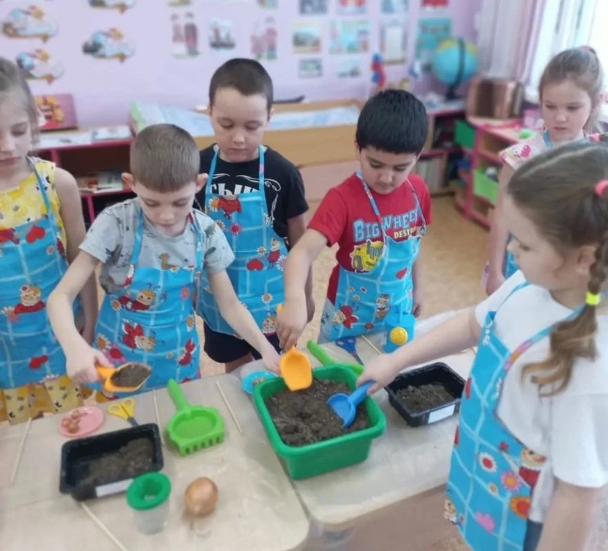 Воспитывать ученых с пеленок собираются в Хабаровском крае