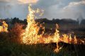 Хабаровск накрыло дымом от пожаров в Амурской области