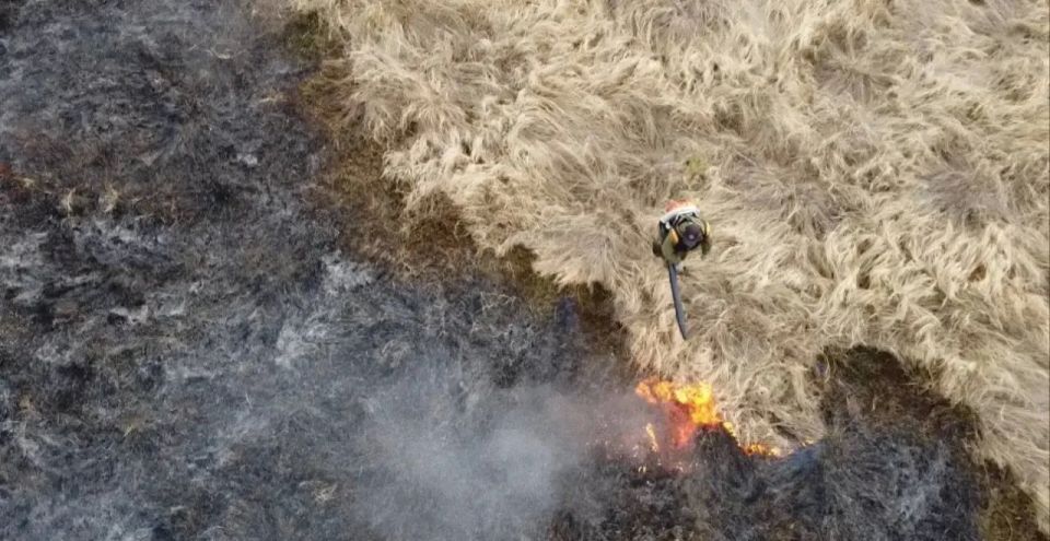 В 16 муниципалитетах Хабаровского края введён особый противопожарный режим