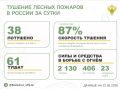 За прошедшие сутки в 20 регионах России потушили 38 лесных пожаров