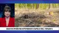 � ���������� ����� ����������� ����� �������� �������� ������� �������