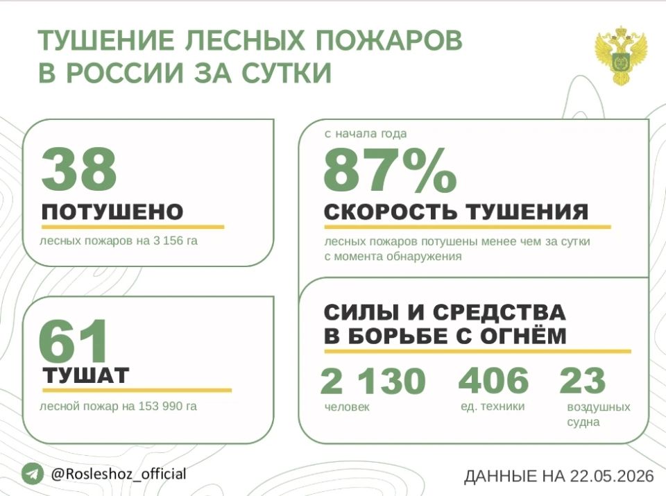 За прошедшие сутки в 20 регионах России потушили 38 лесных пожаров