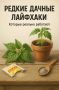 Дачный сезон с «Губернией»