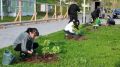 В НиколаевскенаАмуре реализуют очередной этап благоустройства набережной