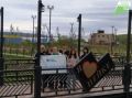 В Хабаровском крае проходит неделя экологических акций по уборке берегов водоёмов