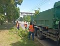 В Хабаровске дорожные службы ликвидируют последствия дождя и сильного ветра