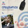 Не пропустите «Регион спорта» в эту пятницу!