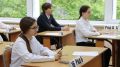 Трое выпускников из Хабаровска сдали профильную математику на 100 баллов