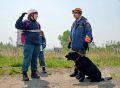 Нет одинаковых кинологических расчётов