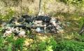 Горы мусора и огромные сорняки: свалку обнаружили под Бикином