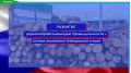 Работа вопреки санкциям: депутаты посетили успешное лесопромышленное предприятие Амурского округа