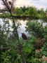 Погода в Хабаровском крае. Хабаровск