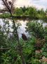 Погода в Хабаровском крае. Хабаровск