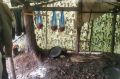 В Хабаровском крае окончено расследование уголовного дела о незаконной добыче рыб лососевых видов участниками организованной группы