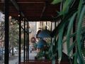 � ������ ������ ����������� ��������� ������������ ���� � ����������� �������