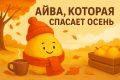 Айва: скрытый урожай осени, который стоит попробовать