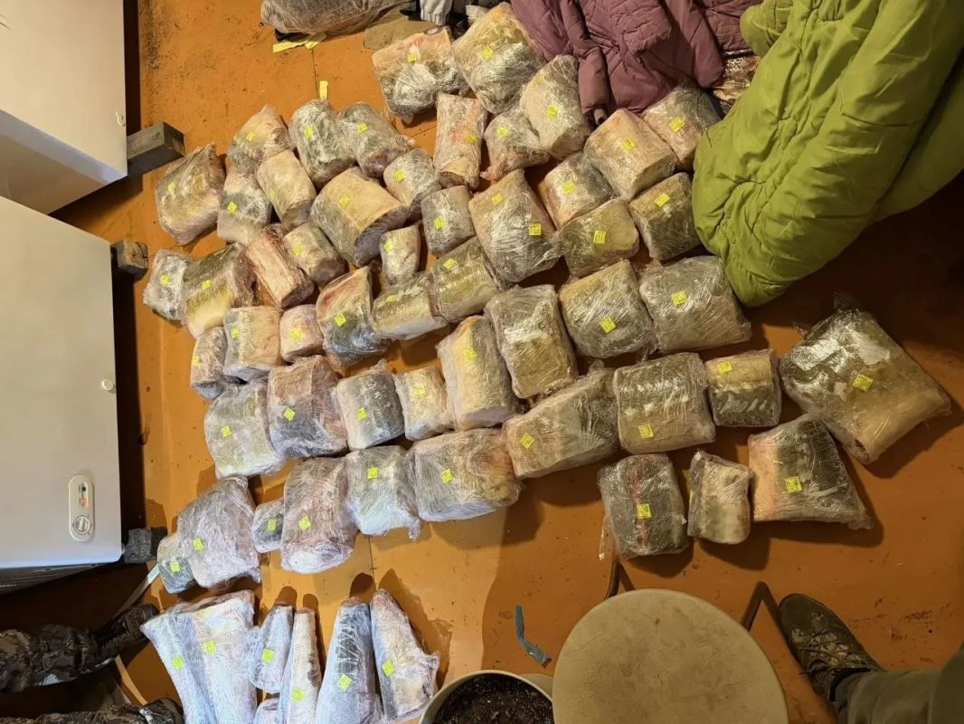В Хабаровском крае полицейские задержали семерых браконьеров, незаконно добывавших краснокнижную рыбу В Хабаровском крае полицейские задержали семерых браконьеров, незаконно добывавших краснокнижную рыбу