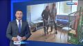 ���������, ��� �� ����������: ����� ��������� ������������ ������ ��� ��������� � ������ �������