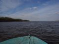 Общий вылов водных биоресурсов в Хабаровском крае составил 256,2 тысячи тонн