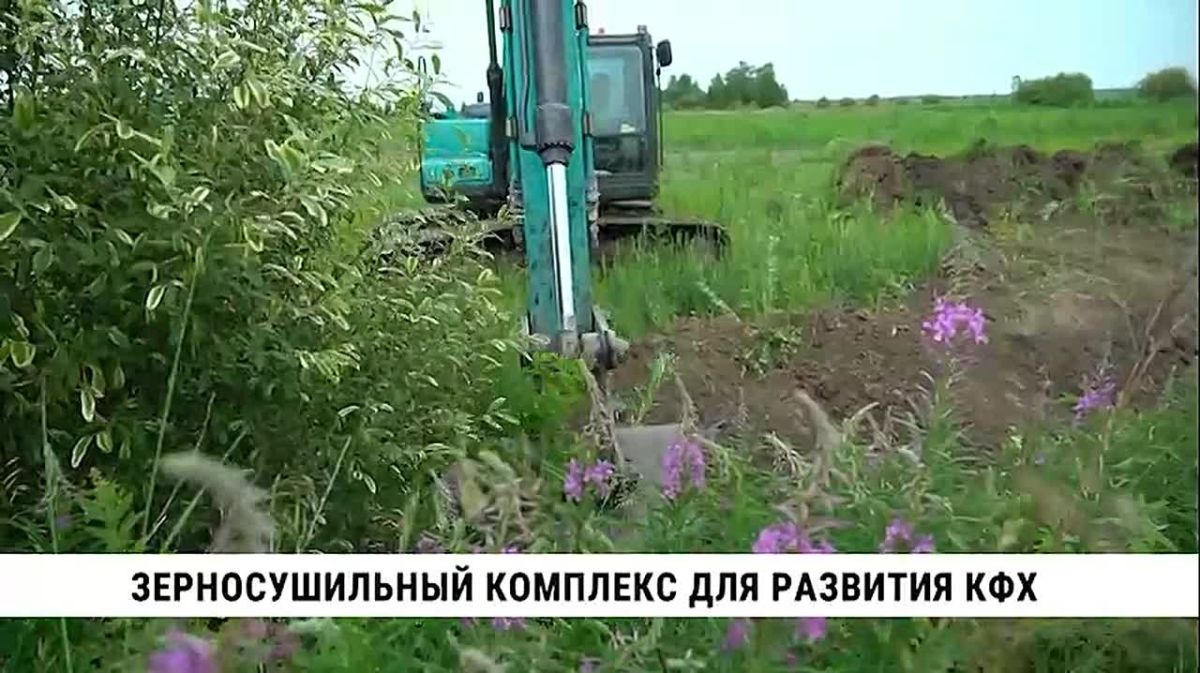 Выращивать кукурузу для производства кормов будут со следующего года в крестьянско-фермерском хозяйстве Прилепиных