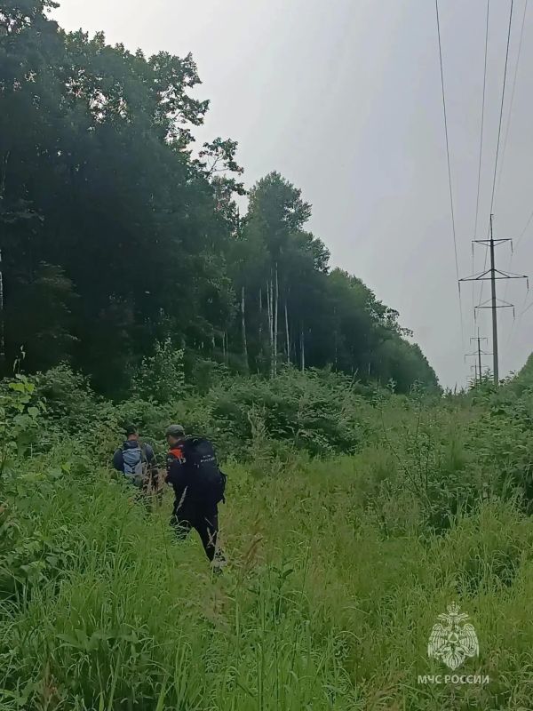 Поиски пропавших в двух районах Хабаровского края продолжаются Поиски пропавших в двух районах Хабаровского края продолжаются