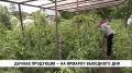 Более 70 заявок от дачников и фермеров поступило в краевой сельхозфонд для участия в ярмарке выходного дня