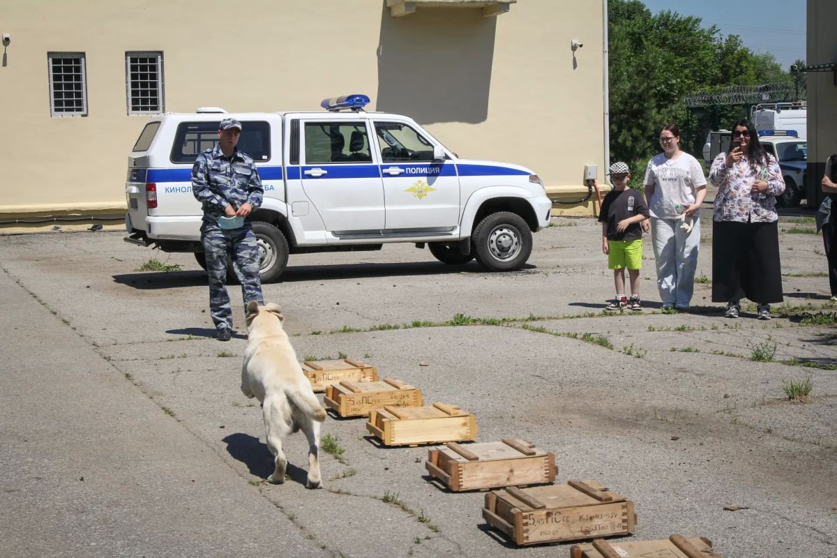 Неравнодушие в действии: в Хабаровске транспортные полицейские провели Антистресс-день для девятиклассницы Алины, которая в панике случайно позвонила на телефон доверия из-за страха не сдать экзамены Неравнодушие в действии: в Хабаровске транспортные полицейские провели Антистресс-день для девятиклассницы Алины, которая в панике случайно позвонила на телефон доверия из-за страха не сдать экзамены